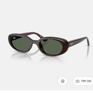 Rayban Dark Brown Oval Sunglasses